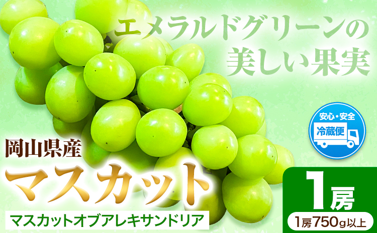 岡山県産マスカット(マスカット オブ アレキサンドリア 1房750g以上)令和7年産先行受付[7月上旬-8月中旬頃出荷][配送不可地域あり]---H-27a---