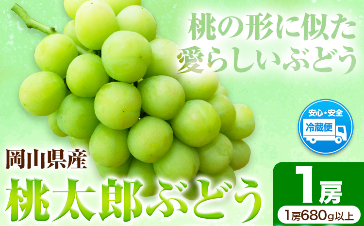 岡山県産桃太郎ぶどう(1房680g以上)1房入り 令和7年産先行受付[9月上旬-10月中旬頃出荷][配送不可地域あり]---H-26a---