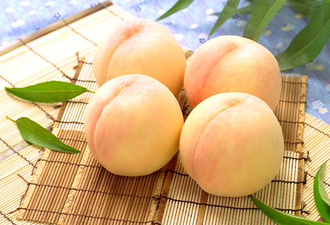 74-09 白桃4～5玉（1kg以上）【2026年7月上旬～8月上旬頃発送予定】