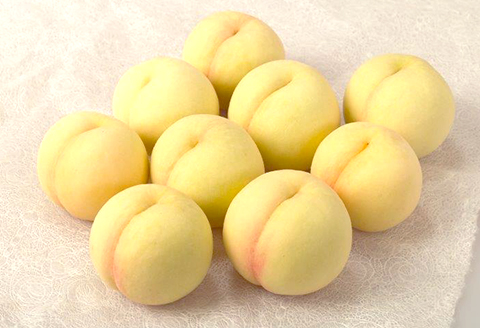 74-10 白桃8～10玉（2kg以上）【2026年7月上旬～8月上旬頃発送予定】