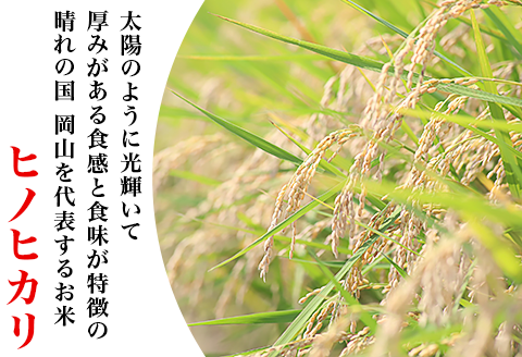 岡山県井原市産ヒノヒカリ精米15kg【2023年11月上旬より発送】