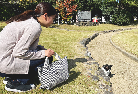 井原デニムランチバッグ（ヒッコリーストライプ）