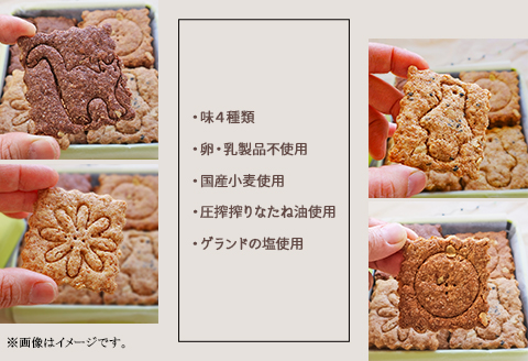 花咲くしおビスケット缶　～ザクザク食感が後ひく植物性素材のビスケット缶～