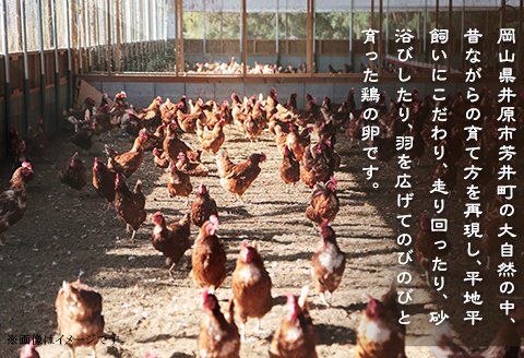 平飼い農家の庭先たまご 30個 × 12回【12ヶ月連続お届け】