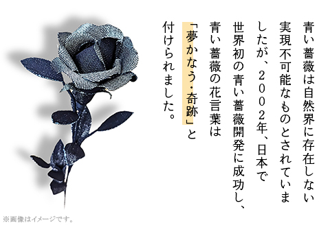 ＤＥＮＩＭ　ＲＯＳＥ - IBARA/藍バラ - プラチナシルバー