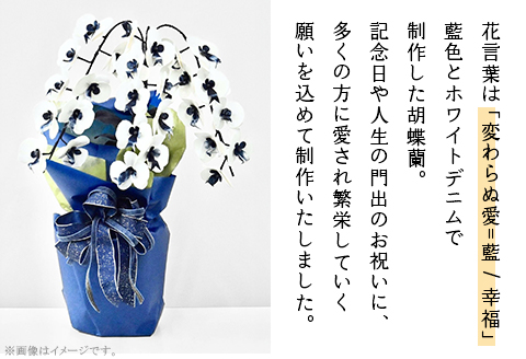 【デニム胡蝶蘭】 -箔- 3本立ち