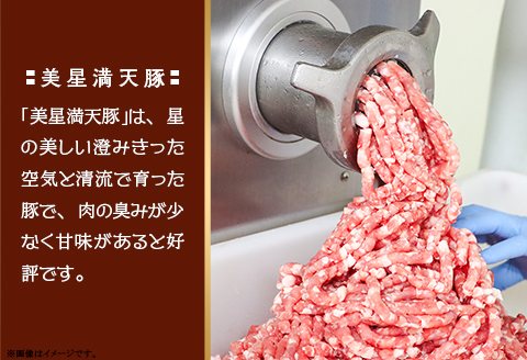 【美星満天豚使用】黒豚手捏ね粗挽きハンバーグ 10個（生ハンバーグ）