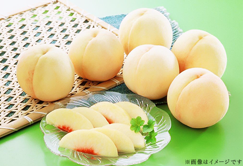 74-13 白桃5～7玉（白鳳もしくは加納岩）【2026年7月上旬～7月中旬発送予定】