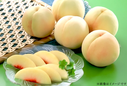 74-14 白桃5～7玉（夢白桃もしくは白麗）【2026年7月下旬～8月上旬発送予定】
