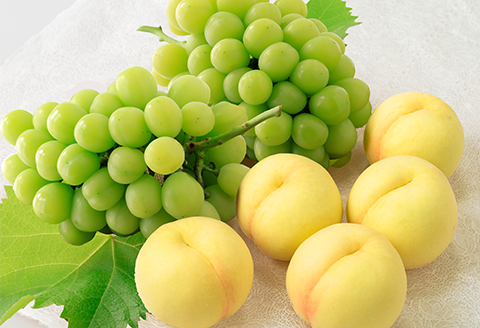 74-15 白桃5玉とシャインマスカット2房セット【2026年7月中旬～8月上旬発送予定】