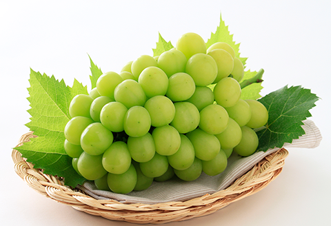 74-16 「晴王」1房（700g以上）【2026年9月上旬～10月上旬発送予定】