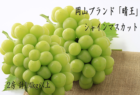 74-17 「晴王」2房（1.4kg以上）【2026年9月上旬～10月上旬発送予定】