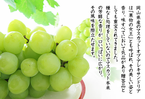 74-19 マスカット･オブ･アレキサンドリア2～3房（計1kg以上）【2026年8月下旬～9月下旬発送予定】