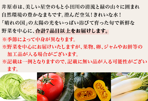 旬の農産物（野菜・果物など）詰合せ【7品以上】