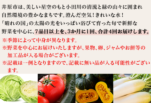 【3か月に1回、合計4回お届け】旬の農産物（野菜・果物など）詰合せ【7品以上】