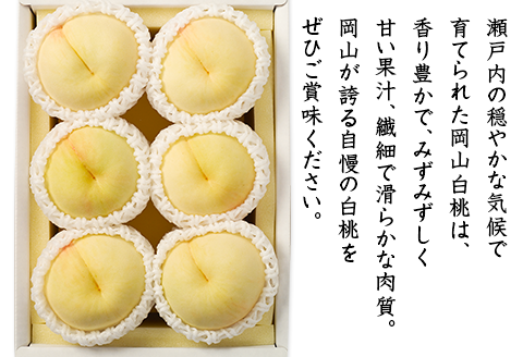 74-03 白桃5～6玉（1.2kg以上）【2026年7月上旬～8月上旬頃発送予定】