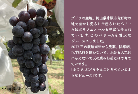 農薬：栽培期間中不使用 ぶどうジュース（ベリーＡ）