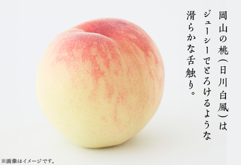 【ご家庭用】岡山の桃 日川白鳳 5～7玉【2026年6月下旬頃から順次発送】
