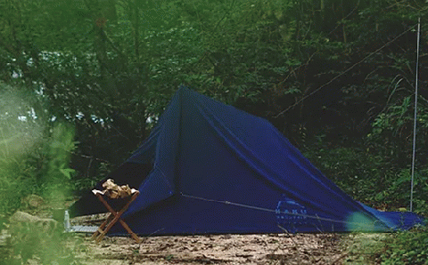 インディゴタープ