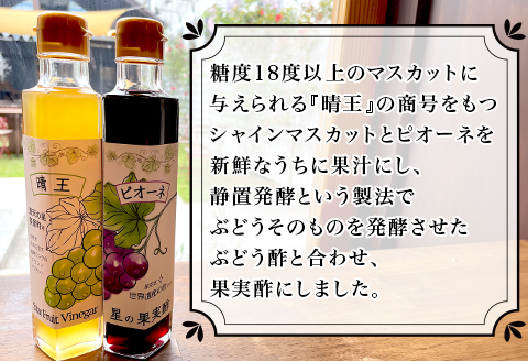 星の果実酢２本セット（シャインマスカット晴王・ピオーネ）