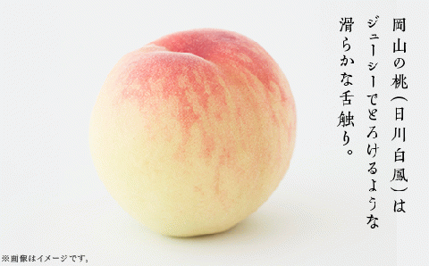 岡山の桃 食べ比べ定期便（年2回）【2026年産】