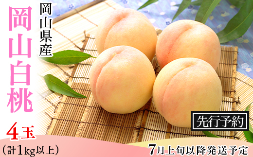 フルーツ 定期便 年3回 2026 先行予約 岡山 晴王 シャインマスカット 黒ぶどう 白桃 旬 果物 岡山県産 ブドウ もも くだもの お楽しみ定期便