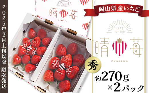 岡山県産いちご「晴苺」秀【2026年2月上旬以降順次発送】