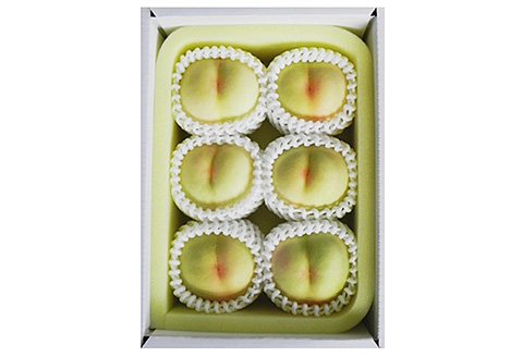 岡山県産 フルーツ定期便 全6回【2026年産】