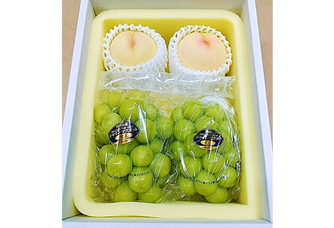 詰合せ 白桃2玉(1玉220g以上)・シャインマスカット「晴王」2房(1房480g以上) 化粧箱入り【2026年7月下旬～8月中旬発送予定】