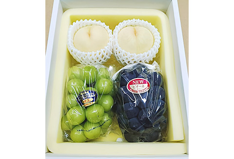 詰合せ 白桃2玉(1玉220g以上)・ニューピオーネ1房(480g以上)・シャインマスカット「晴王」１房(480g以上) 化粧箱入り【2026年7月下旬～8月中旬発送予定】