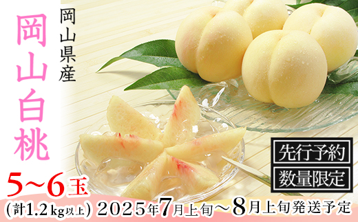 フルーツ 定期便 3回 フルーツ 定期便 先行予約 桃 ぶどう 梨 3回（岡山白桃・ピオーネ・あたご梨）