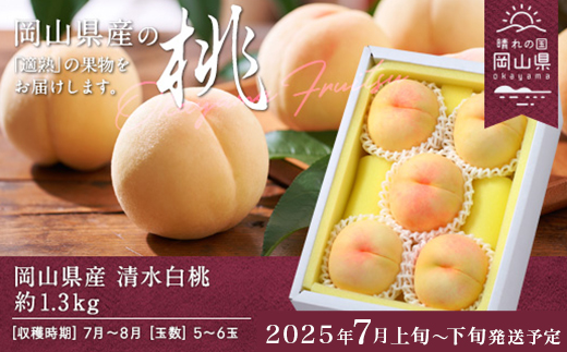 フルーツ 定期便 先行予約 桃 ぶどう 梨 3回（清水白桃・瀬戸ジャイアンツ・あたご梨）