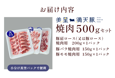 美星満天豚 焼肉 500gセット（豚肩ロース又は豚ロース、豚バラ、豚モモ）小分け真空パック