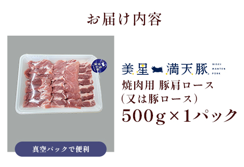 美星満天豚 豚肩ロース（又は豚ロース）500g（真空パック）焼肉用