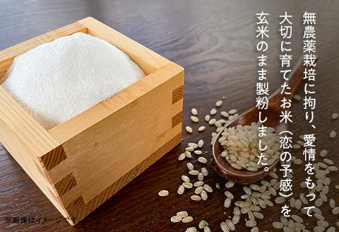 玄米粉「米の粉」2kg（400g×5袋）