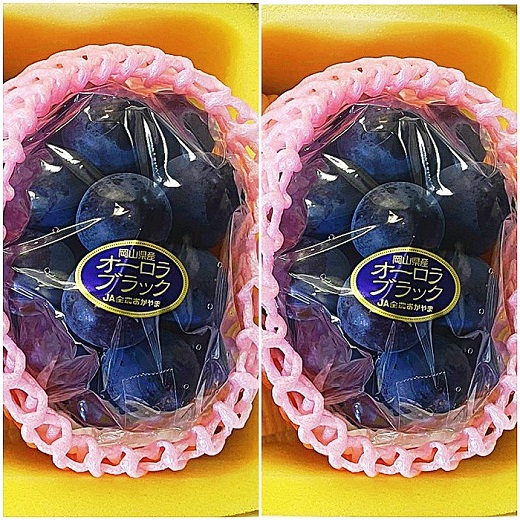 オーロラブラック 2房(1房480g以上) 化粧箱入り【2026年8月下旬～9月下旬発送予定】