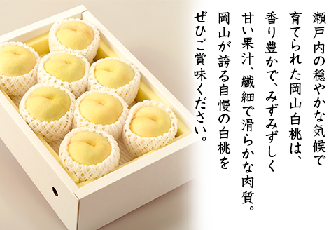 74-10 白桃8～10玉（2kg以上）【2026年7月上旬～8月上旬頃発送予定】