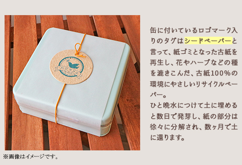 花咲くしおビスケット缶　～ザクザク食感が後ひく植物性素材のビスケット缶～