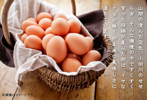 平飼い農家の庭先たまご 30個 × 12回【12ヶ月連続お届け】