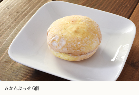 菓子詰合せ（21個入り）W-300