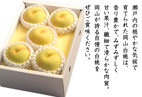 74-13 白桃5～7玉（白鳳もしくは加納岩）【2026年7月上旬～7月中旬発送予定】