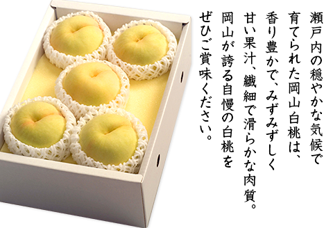 74-14 白桃5～7玉（夢白桃もしくは白麗）【2026年7月下旬～8月上旬発送予定】