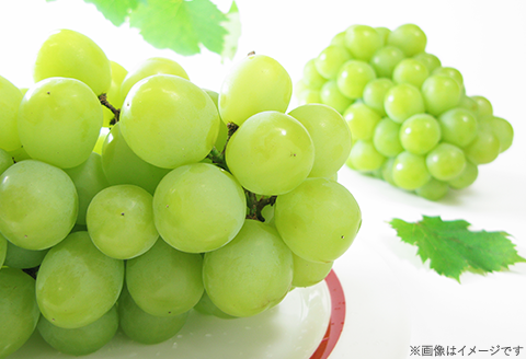 74-19 マスカット･オブ･アレキサンドリア2～3房（計1kg以上）【2026年8月下旬～9月下旬発送予定】