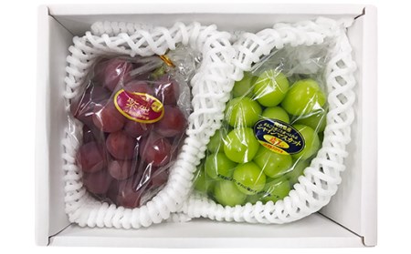 岡山県産冬ぶどう2房【2026年11月以降発送】（いばら愛菜館）