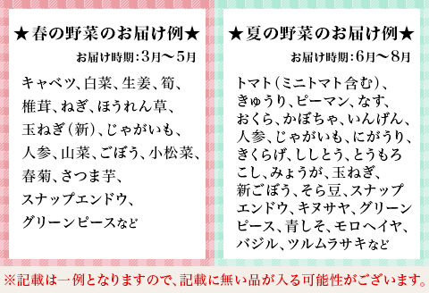 旬の農産物（野菜・果物など）詰合せ【7品以上】