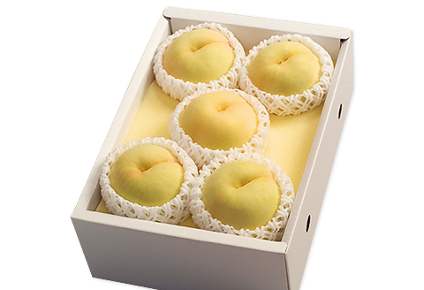 74-03 白桃5～6玉（1.2kg以上）【2026年7月上旬～8月上旬頃発送予定】