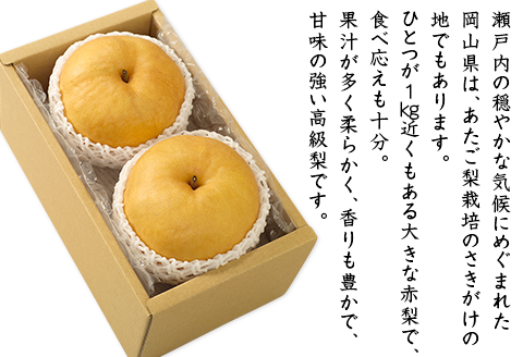 74-22 あたご梨2玉（1.8kg以上）【2025年11月下旬～12月中旬発送予定】