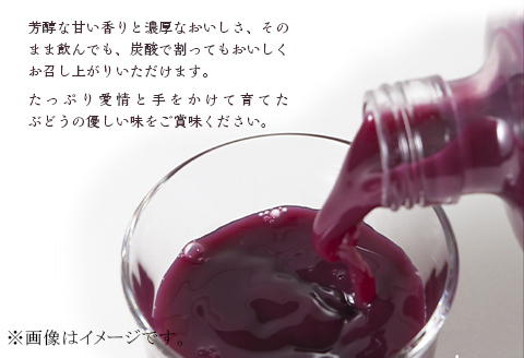 農薬：栽培期間中不使用 ぶどうジュース（ベリーＡ）