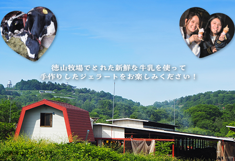 搾りたてミルクでつくるジェラート4個セット（徳山牧場アイス工房）