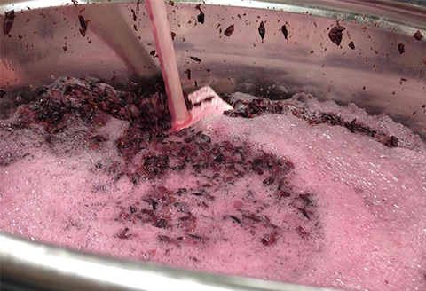 田舎式ワイン「月頭」＆「月泡」２本セット